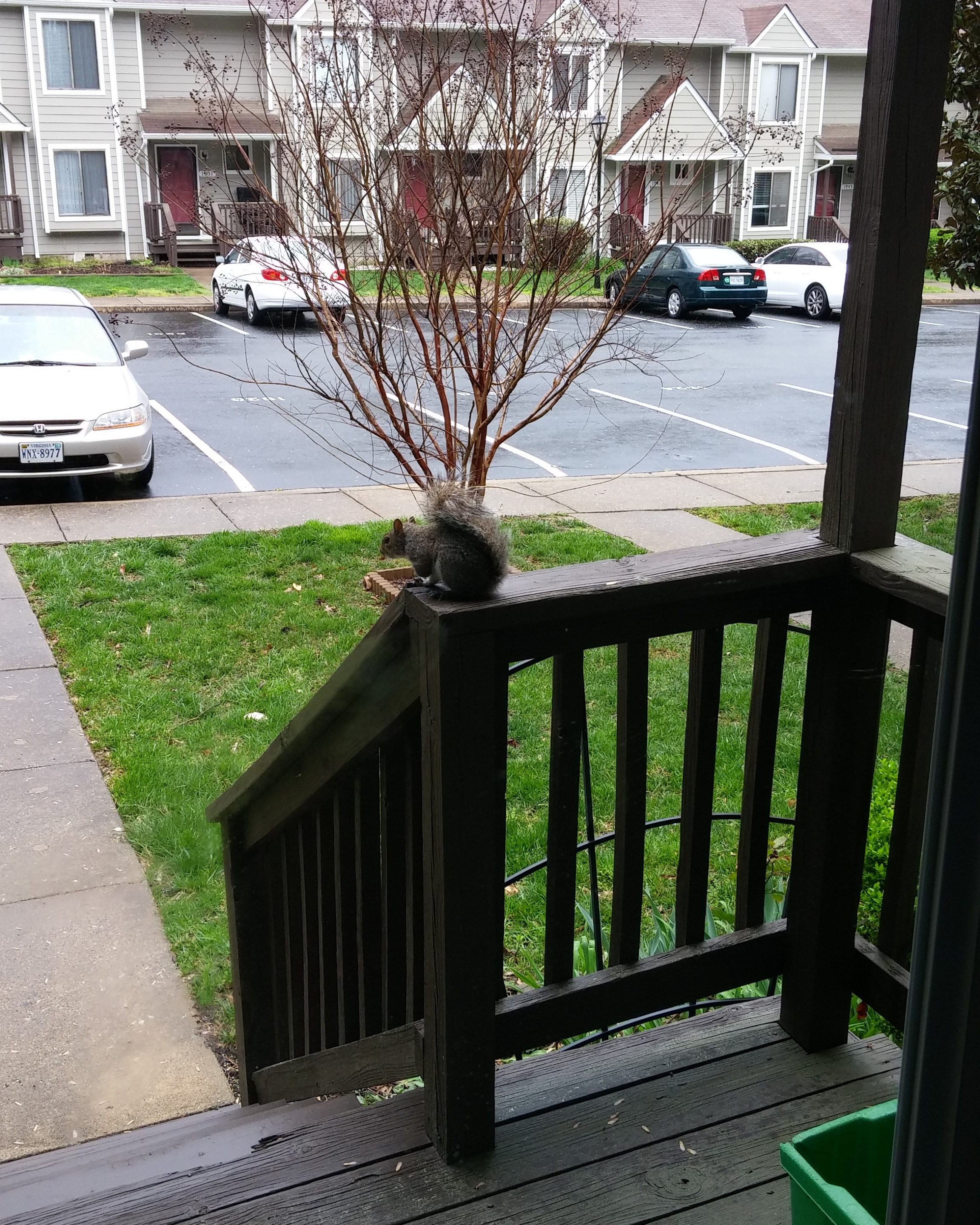 IMG_20170406_101852_122